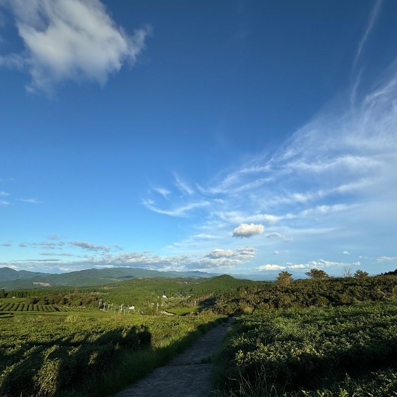 ��������ޤ��������