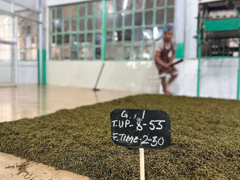 ɥ ץå硼 Golden Tips