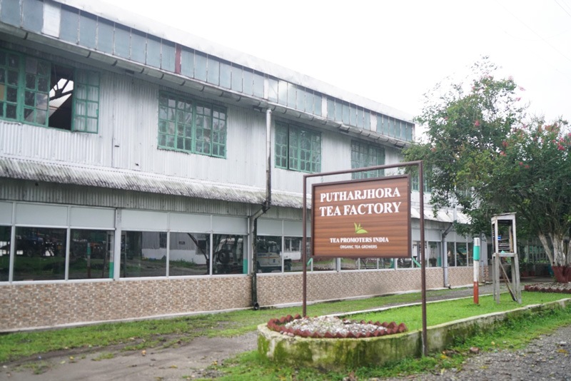 ɥ ץå硼 Golden Tips