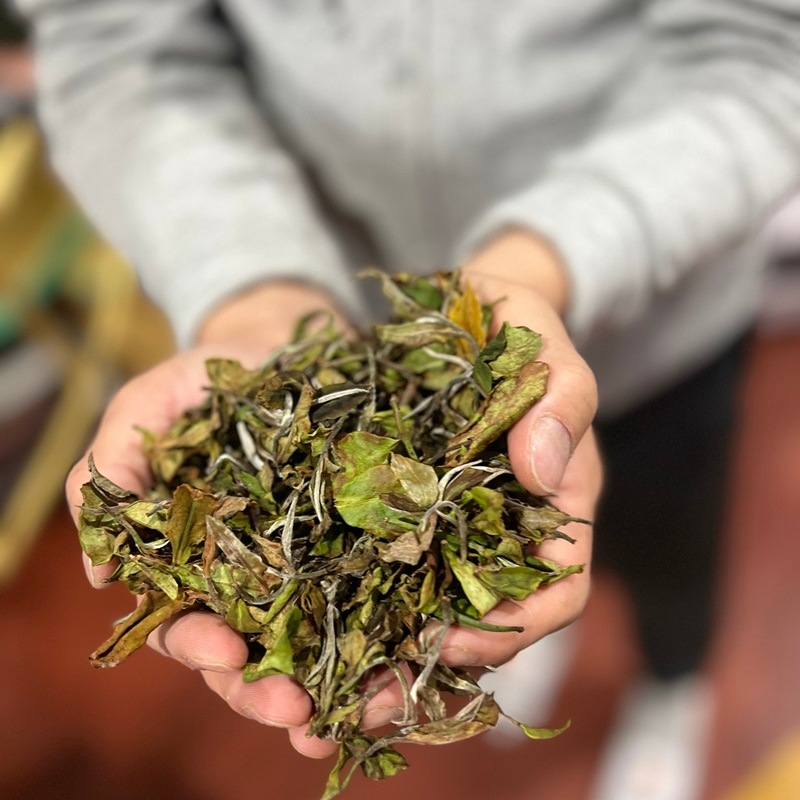 ��������� ���륶�����  DJ-42 2024ǯ������ɥե�å���