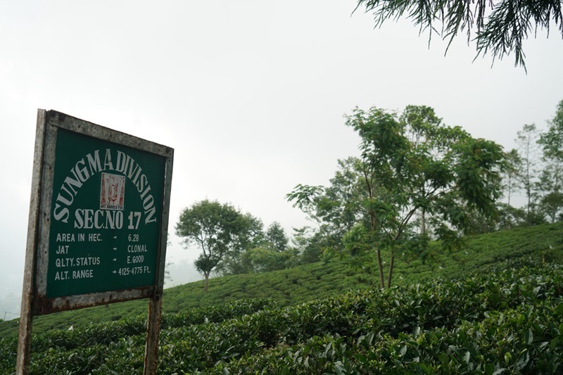 ��������� ���륶�����  DJ-42 2024ǯ������ɥե�å���