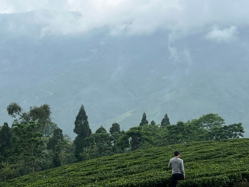 ��������� ���륶�����  DJ-42 2024ǯ������ɥե�å���