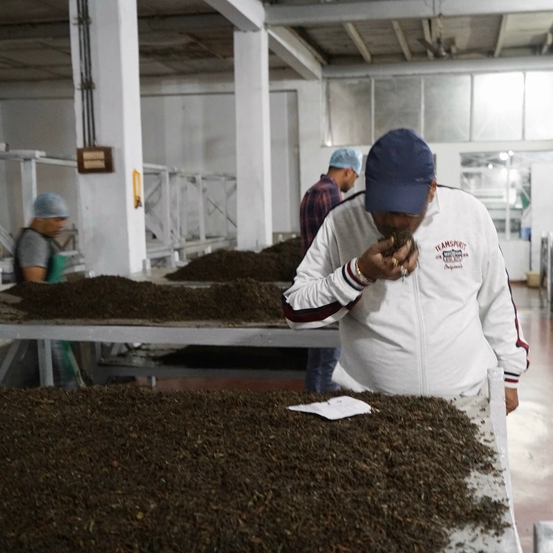 ��������� ��å����ϥå����DJ-145 2024ǯ������ɥե�å���