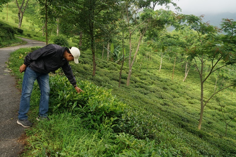  åDJ-83 2024ǯɥեå