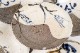 �ڵ��ơ� ����ϻʼ�� ���ؤ��á��� ���� 9�ҥ��å� Ȣ�� 16381