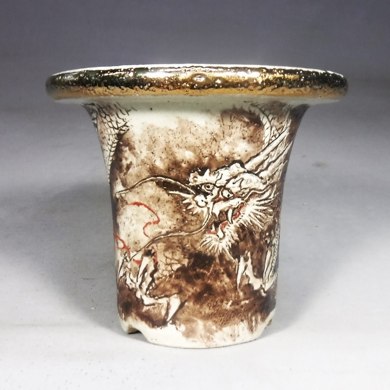 錦鉢（72）愛楽園、亘作 3寸 | 春蘭・富貴蘭WEB通販 三香園