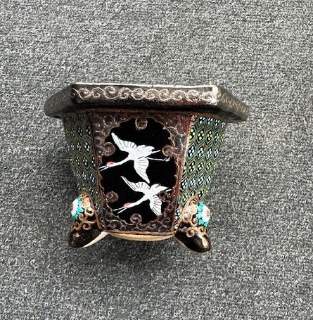 錦鉢（25）布施覚作六角鉢 | 春蘭・富貴蘭WEB通販 三香園