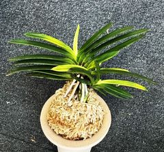 �ٵ������Ⲵð�����ܻ��դ�