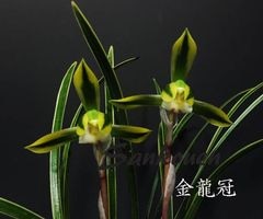 ���ܽ�������ζ�������ڣ����ֲܲꣲ���դ�