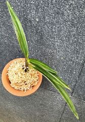 �����ٵ�������ζ��������Ω��