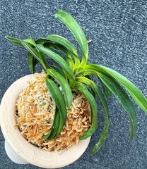 �ٵ����������ĳ���������ʡ����ܻ��դ�