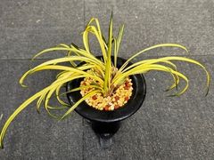 �ڹ������̵̾�ʡ����ֲܲꣲ���դ�