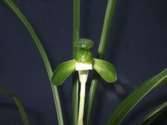 ���ܽ�������ͽ�ǿ顡���ڣ��ֲܲꣳ���դ�