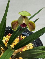 �ڹ�������߹��塡���ڣ��ֲܲ꣱������