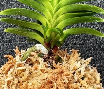 �ٵ�������������ܻ��դ�