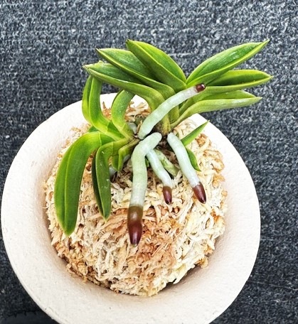 �ٵ�������̴������Ω���ܻ��դ�