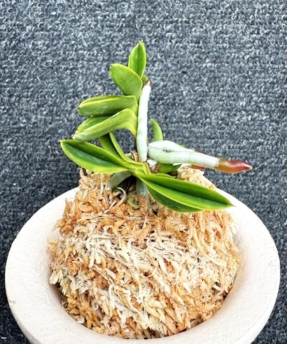 �ٵ�������̴������Ω���ܻ��դ�