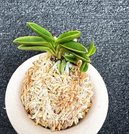 �ٵ�������̴������Ω���ܻ��դ�