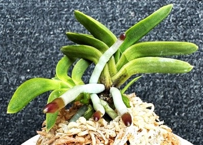 �ٵ�������̴������Ω���ܻ��դ�