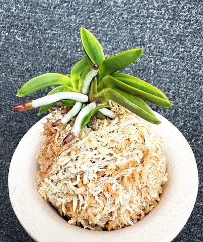 �ٵ�������̴������Ω���ܻ��դ�