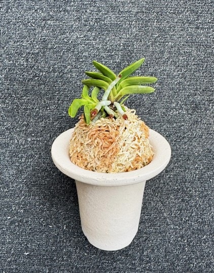 �ٵ�������̴������Ω���ܻ��դ�