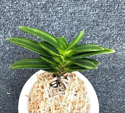 �ٵ������̶������ܻ��դ�