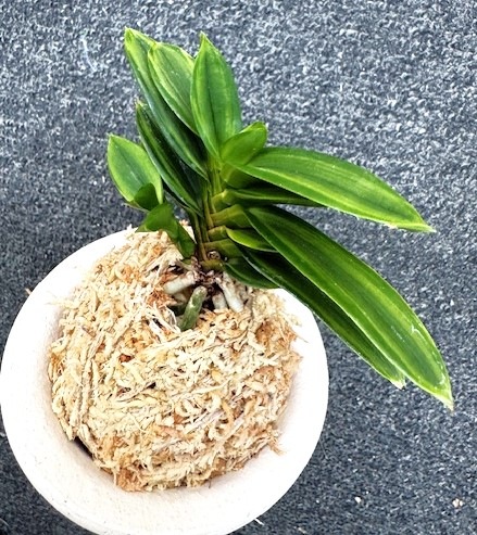 �ٵ������̶������ܻ��դ�