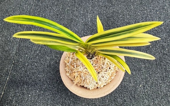 �ٵ��������ء����ܻ��դ�