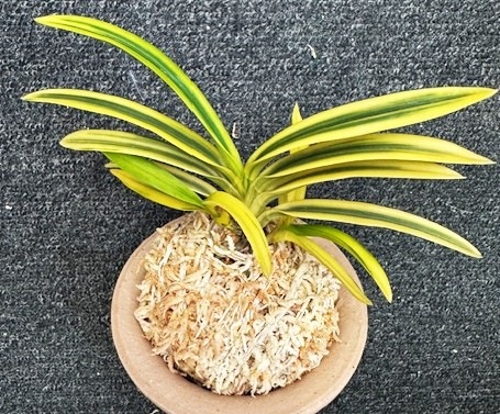 �ٵ��������ء����ܻ��դ�