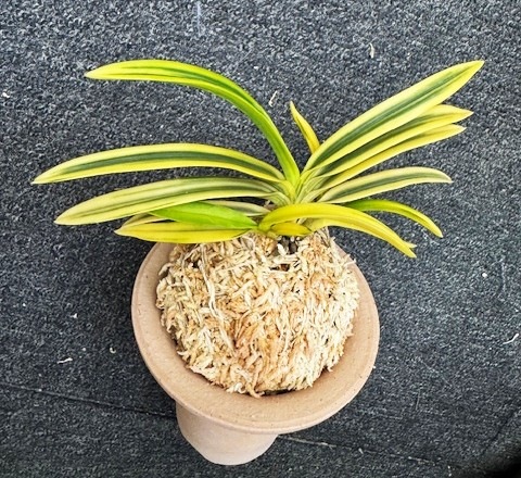 �ٵ��������ء����ܻ��դ�