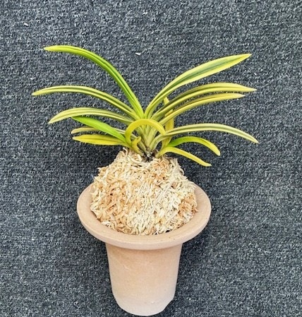 �ٵ��������ء����ܻ��դ�