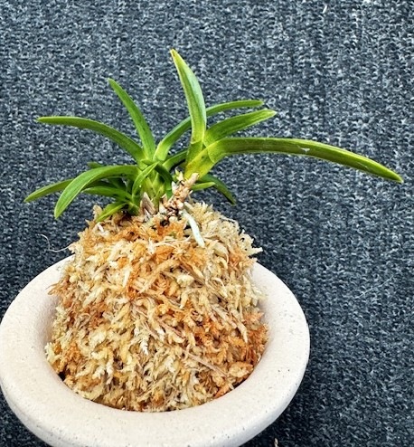 �ٵ��������������ܻ��դ�