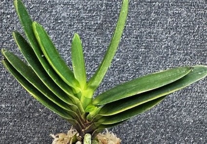 �ٵ������β��¡����ܻ��դ�