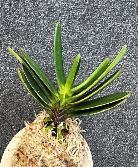 �ٵ������β��¡����ܻ��դ�