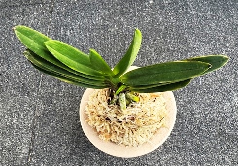 �ٵ������β��¡����ܻ��դ�