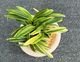 �ٵ���������μʡ�������Ω��