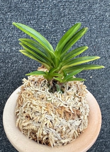 �ٵ�������ơ����ܻ��դ�