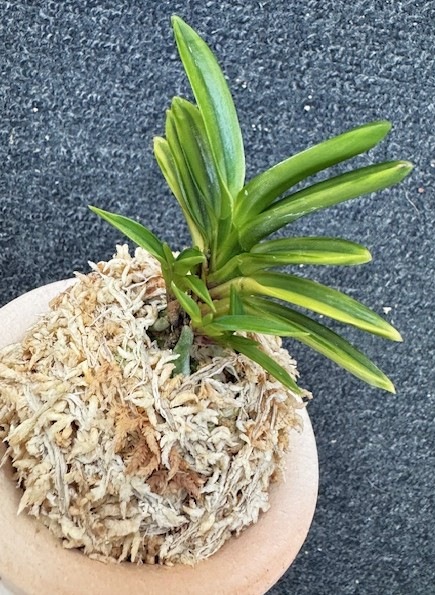 �ٵ�������ơ����ܻ��դ�