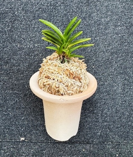 �ٵ�������ơ����ܻ��դ�