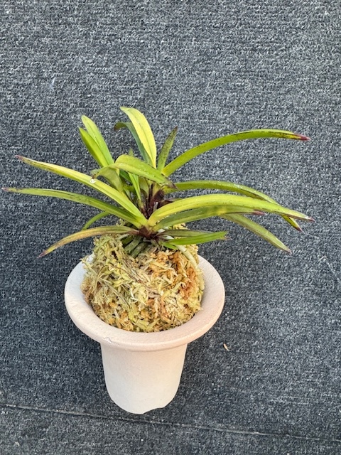 �ٵ������翿����ܻ��դ�