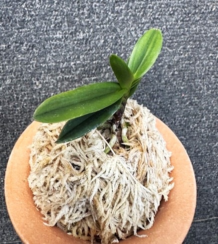 �ٵ�������ϰ�����ң���Ω��