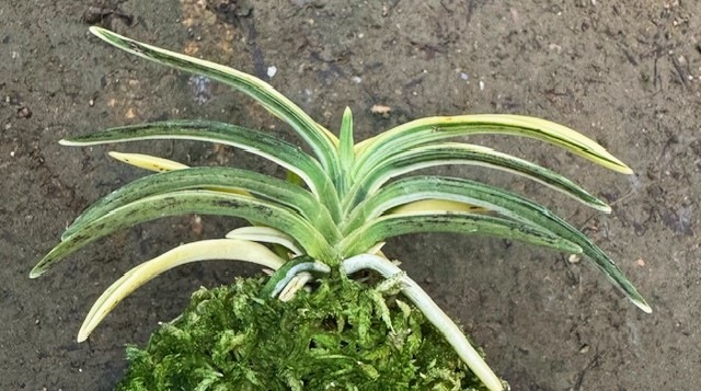 �ٵ�������ʡ�����ܻ��դ�