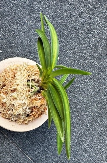 �ٵ�������ʡ�����ܻ��դ�