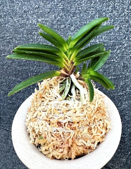 �ٵ������̶�䲫�֡����ܻ��դ�