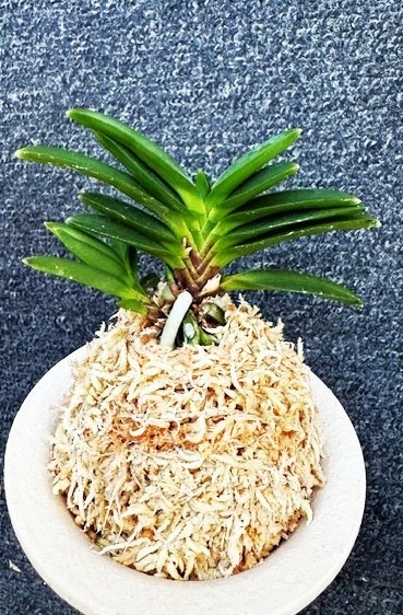 �ٵ������̶�䲫�֡����ܻ��դ�