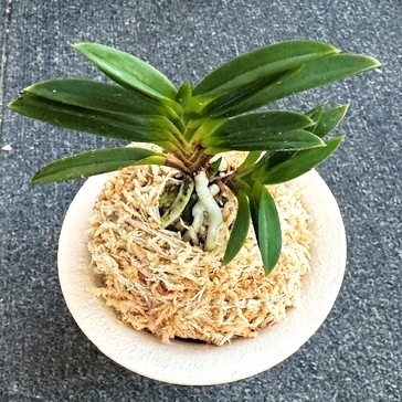 �ٵ������̶�䲫�֡����ܻ��դ�