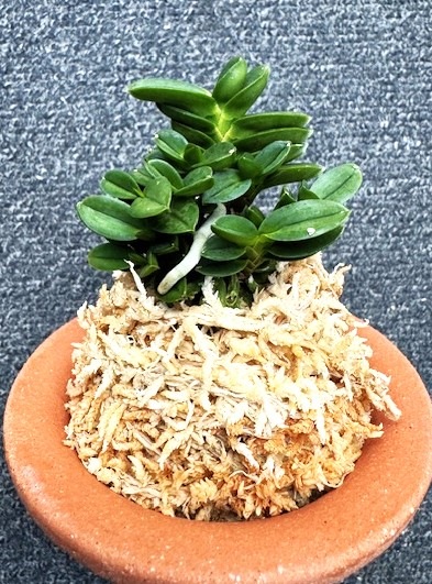 �ٵ���������ݡ����ܻ��դ�