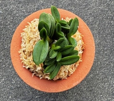 �ٵ���������ݡ����ܻ��դ�