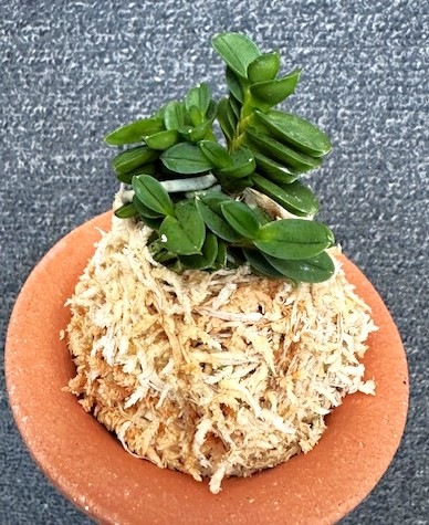 �ٵ���������ݡ����ܻ��դ�