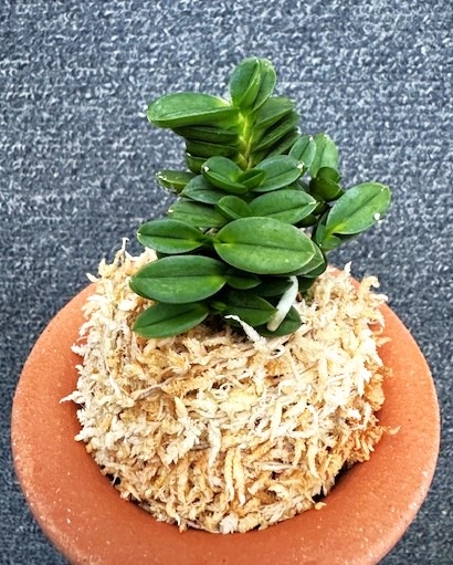 �ٵ���������ݡ����ܻ��դ�